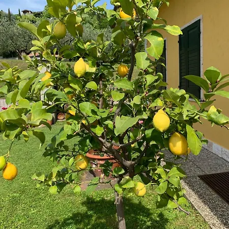 Apartment Poli Villa's Bardolino