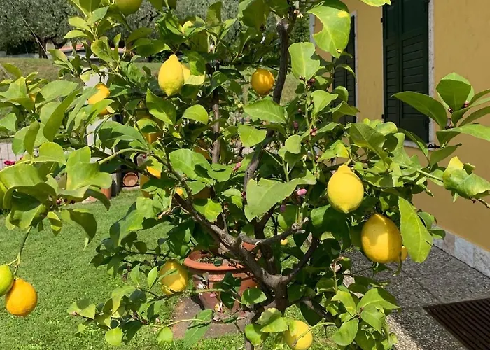 아파트 Poli Villa's 바르돌리노