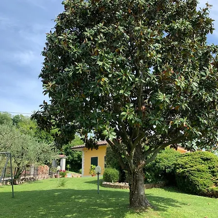 Poli Villa's *